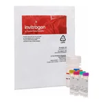 Thermo Fisher Scientific EnzChek Caspase-3 Activity Assay Kits, 500 assays