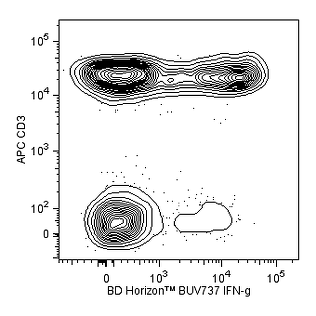 BD BUV737 Mouse Anti-Human IFN-γ