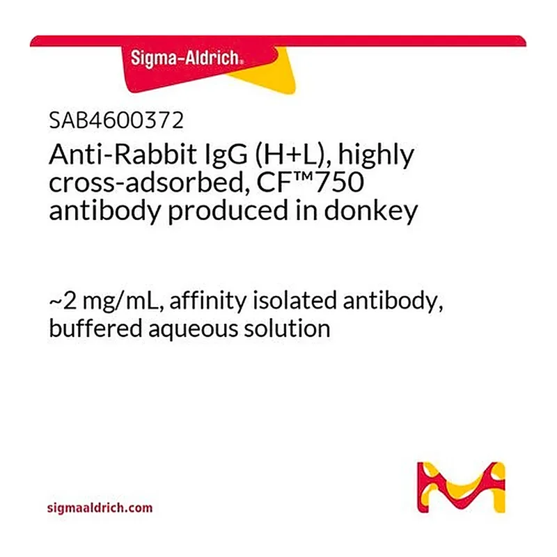 Merck Anti-Rabbit IgG (H+L), highly cross-adsorbed, CF(TM)750 antibody produced in donkey