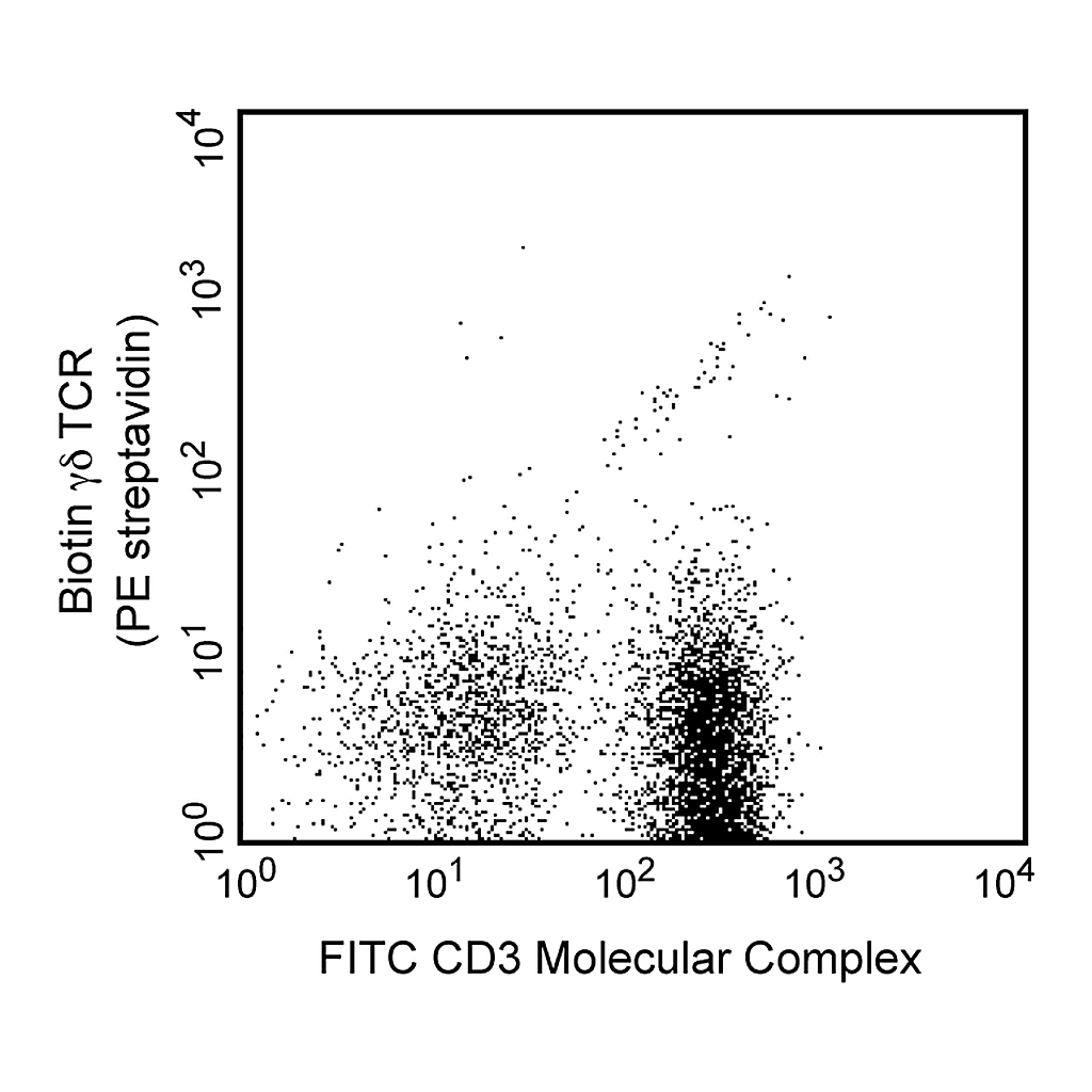 BD Biotin Hamster Anti-Mouse γδ T-Cell Receptor