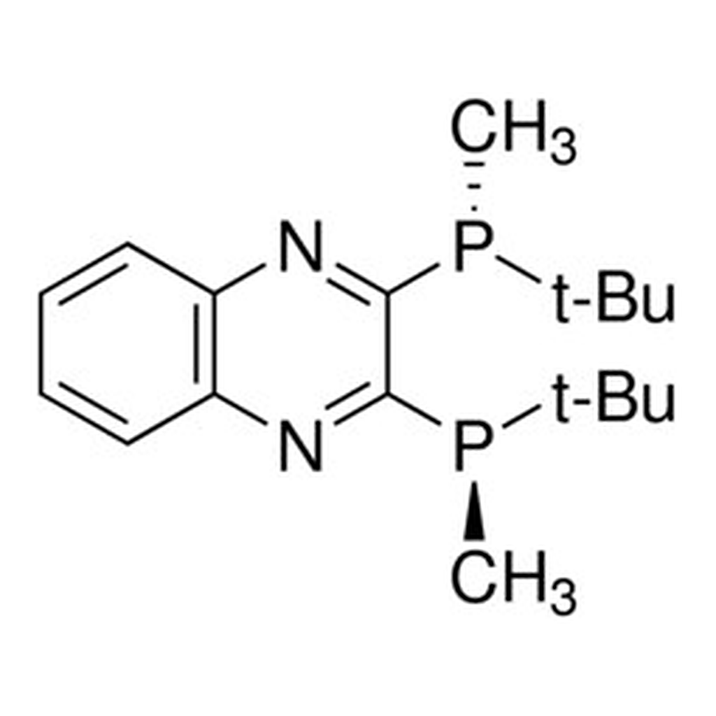 Merck (R,R)-(#)-2,3-BIS(TERT-BUTYLMETHYLPHOSP