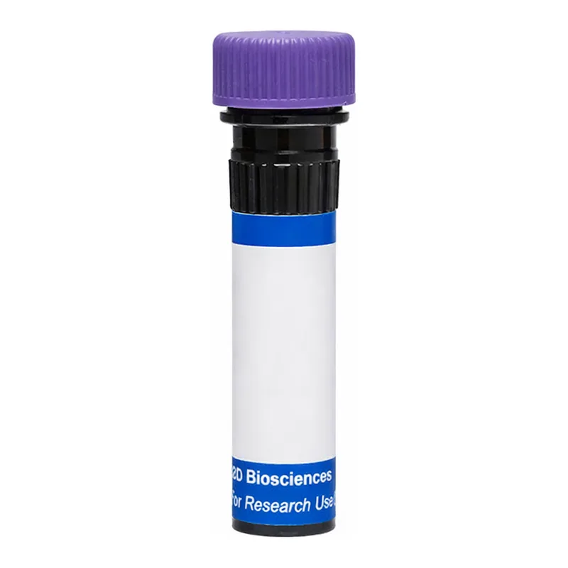 BD RB744 Mouse Anti-Human C3a Receptor