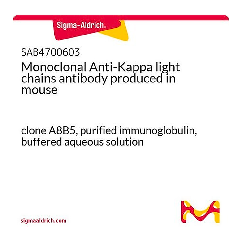 Merck Monoclonal Anti-Kappa light chains antibody produced in mouse