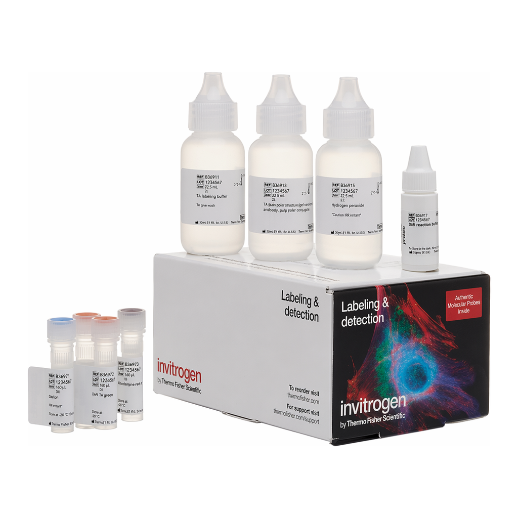 Thermo Fisher Scientific Biotin XX Tyramide SuperBoost Kit, Goat anti-Mouse IgG