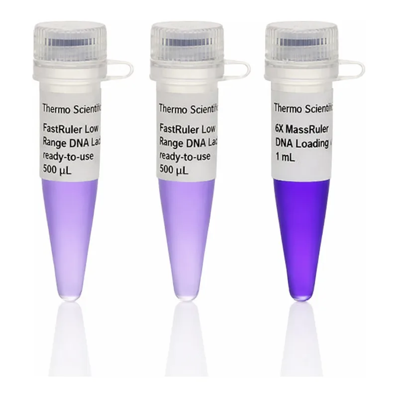 Thermo Fisher Scientific FastRuler High Range DNA Ladder, ready-to-use