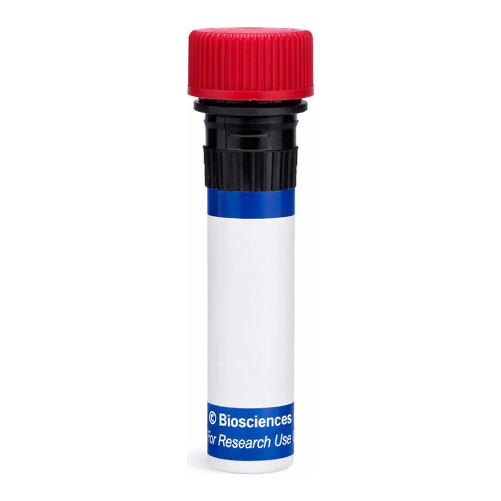 BD RB670 Mouse Anti-Human Delta-Like Protein 4 (DLL4)