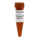 Thermo Fisher Scientific Fluorescein-12-dUTP Solution (1 mM)