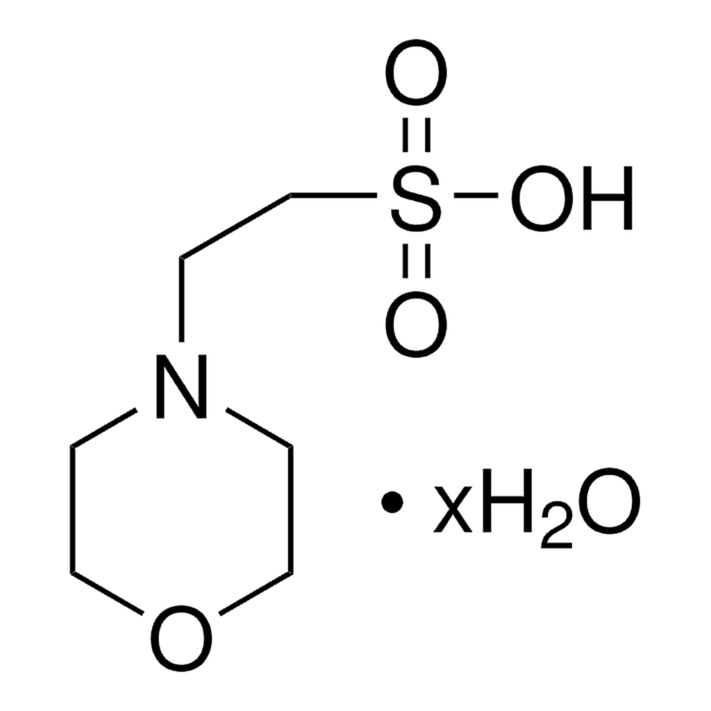 Merck MES HYDRATE