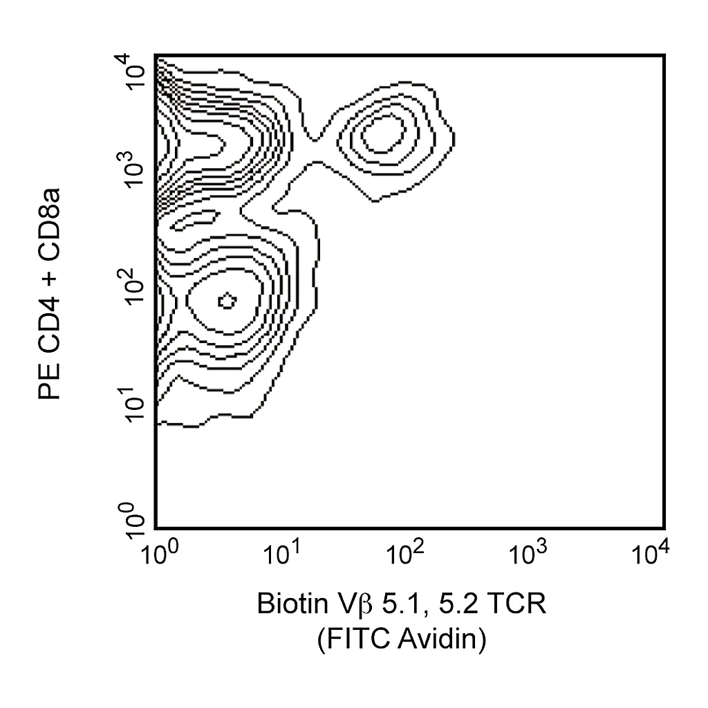BD Biotin Mouse Anti-Mouse Vβ 5.1, 5.2 T-Cell Receptor