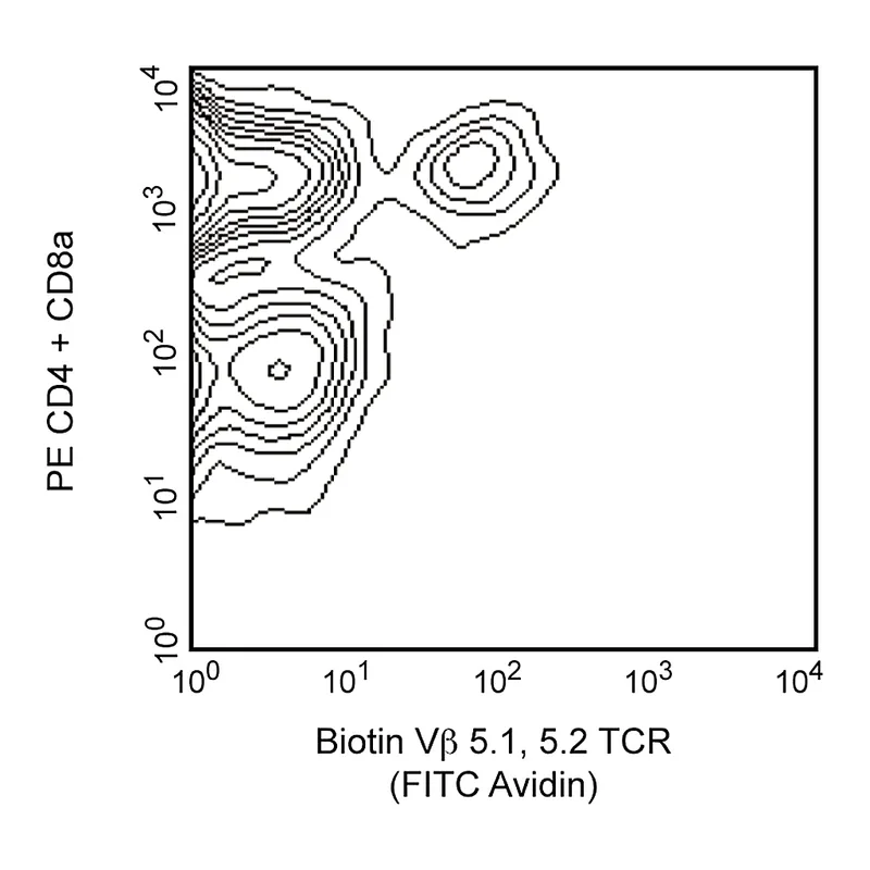 BD Biotin Mouse Anti-Mouse Vβ 5.1, 5.2 T-Cell Receptor