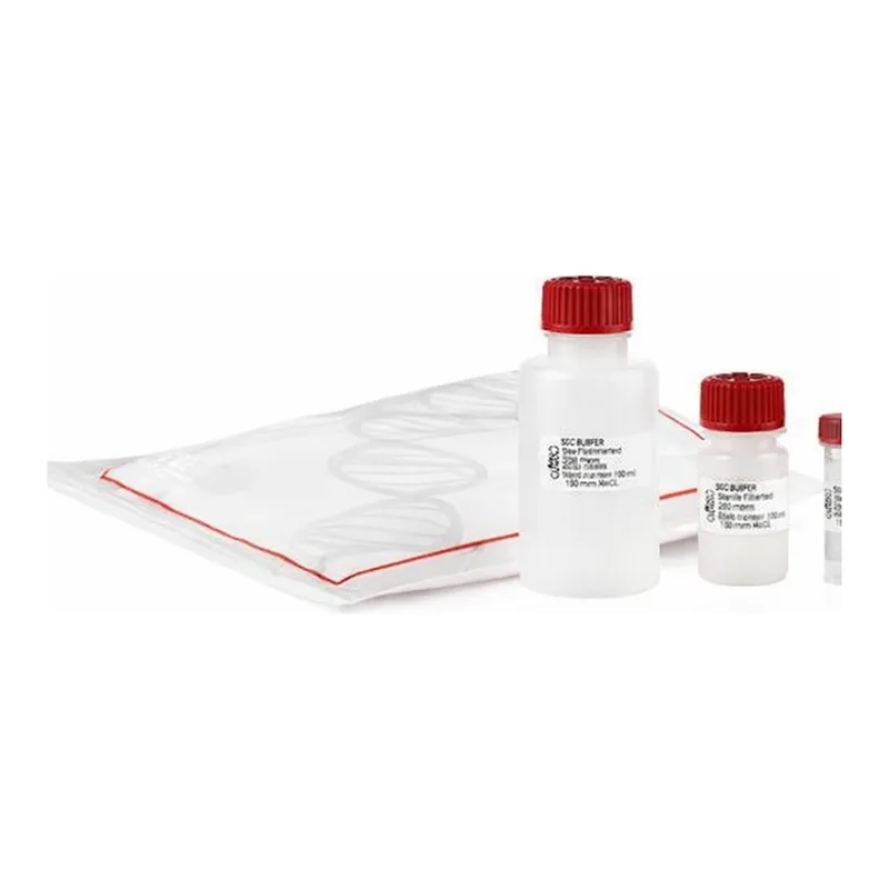 Thermo Fisher Scientific Axiom 2.0 Reagent Kit