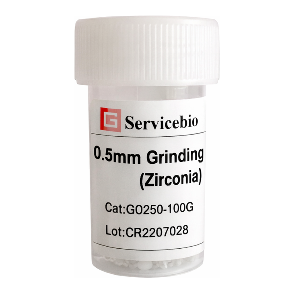 Servicebio Grinding Beads (Zirconia)