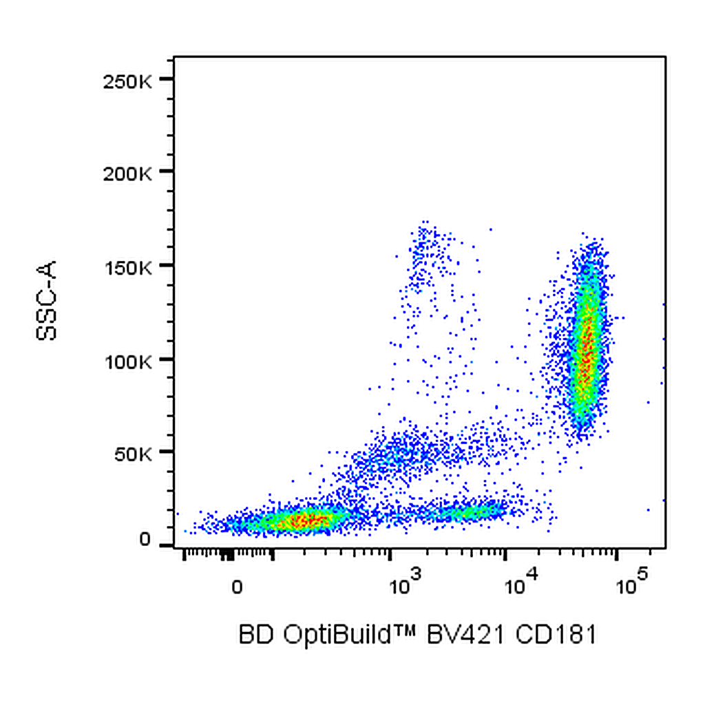 BD BV421 Mouse Anti-Human CD181