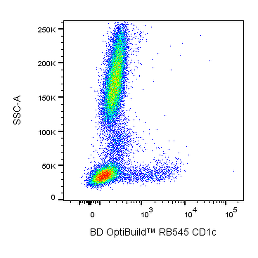 BD RB545 Mouse Anti-Human CD1c