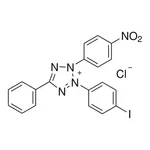 Merck Iodonitrotetrazolium chloride