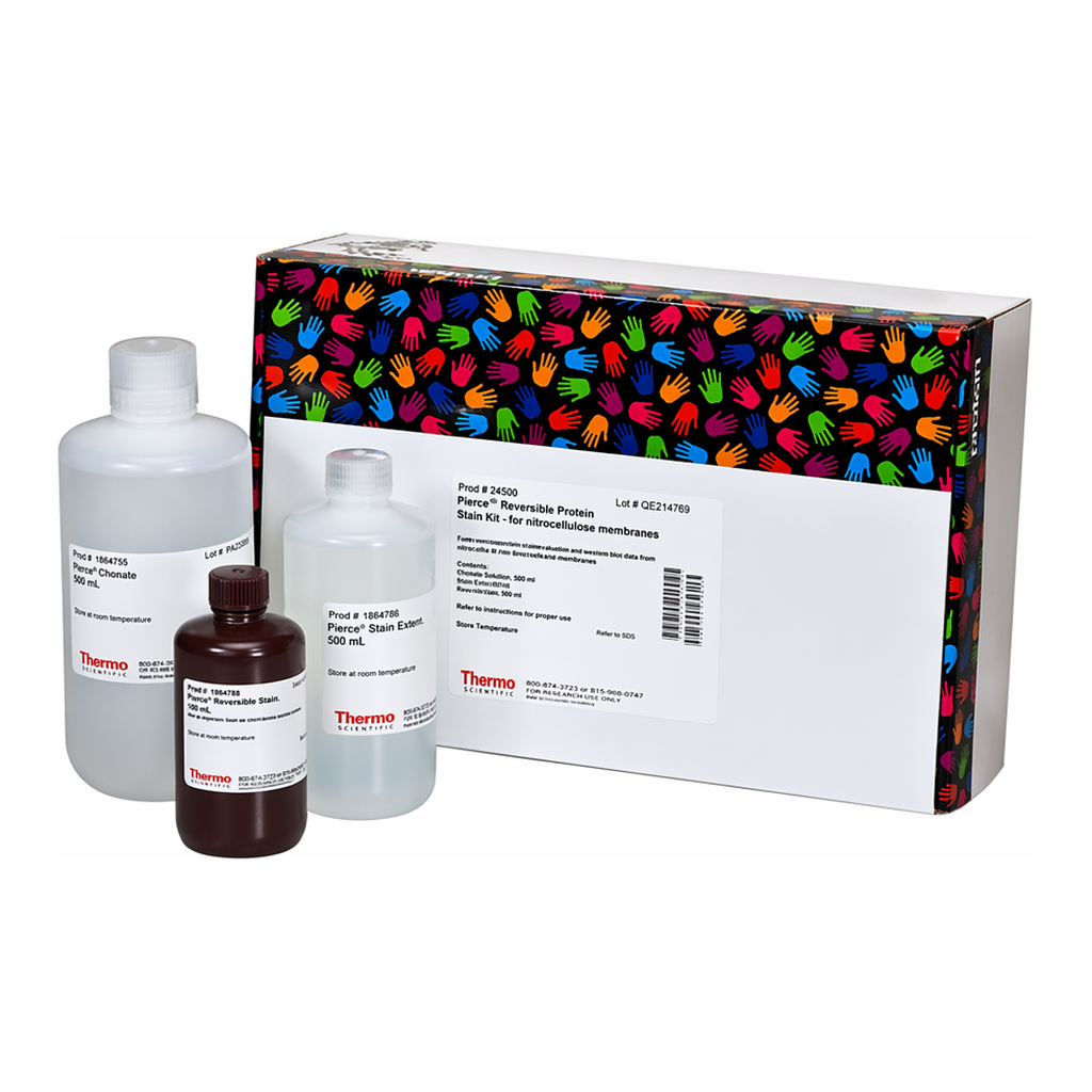 Thermo Fisher Scientific Pierce Reversible Protein Stain Kit for Nitrocellulose Membranes