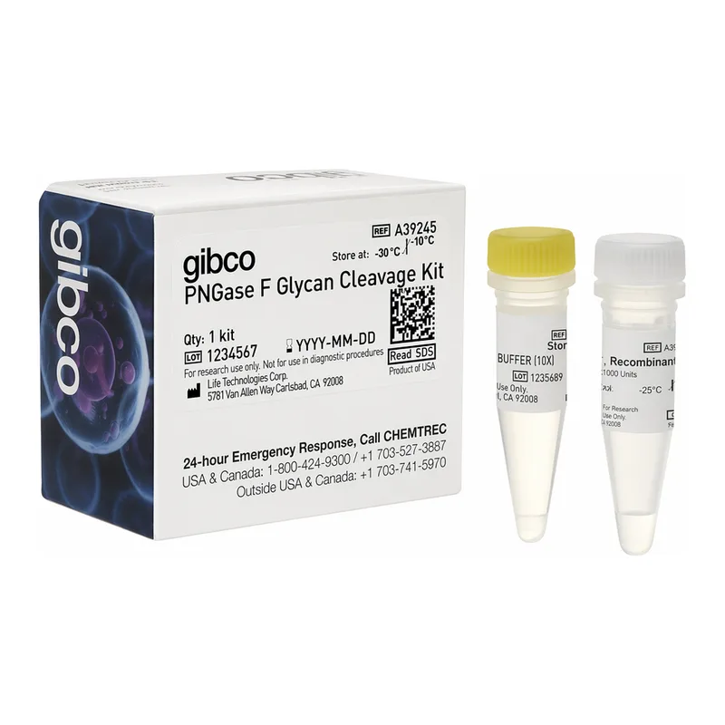 Thermo Fisher Scientific PNGase F Glycan Cleavage Kit