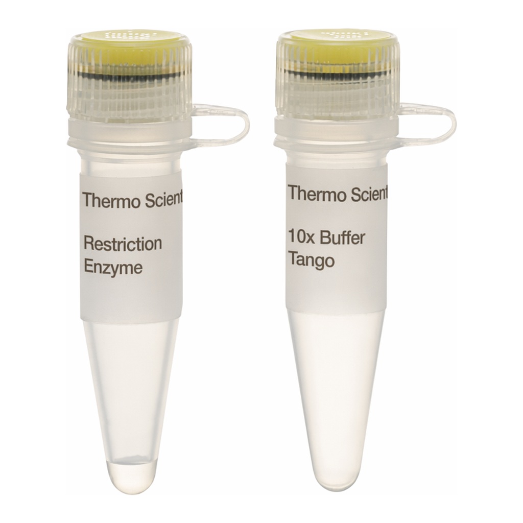Thermo Fisher Scientific XceI (NspI) (10 U/&mu;L), 500 units