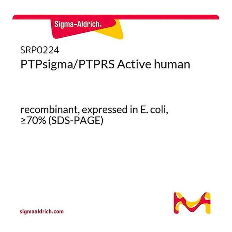 Merck PTPsigma/PTPRS Active human