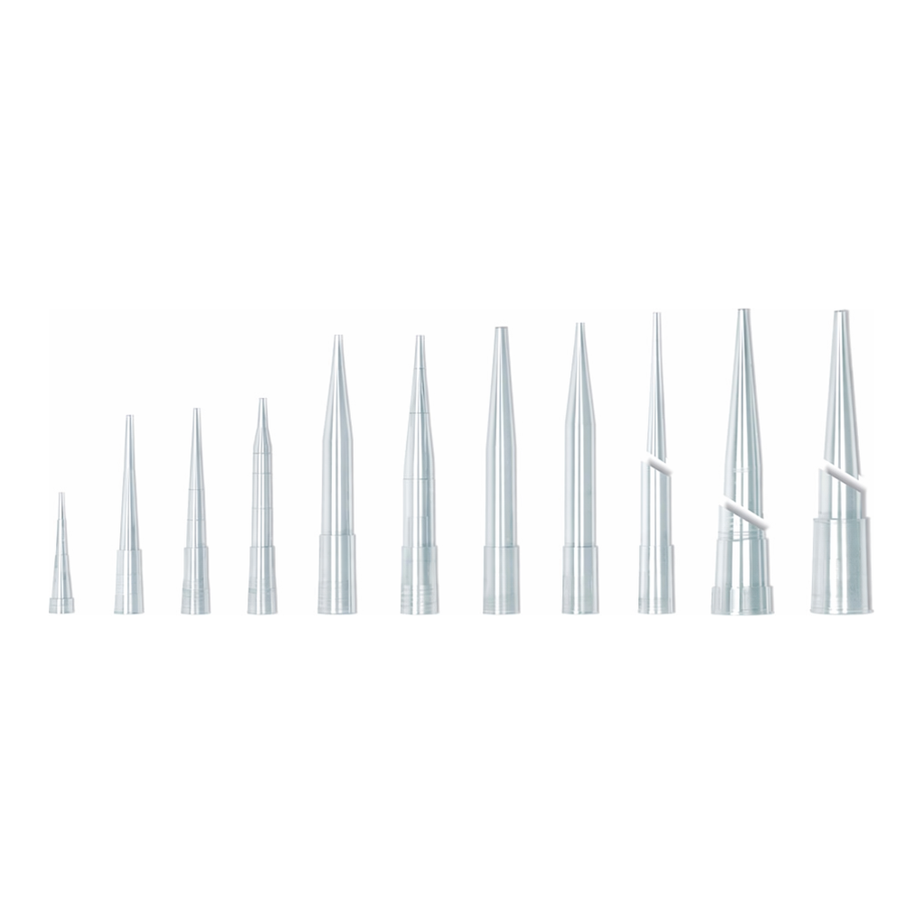 Tarsons Pipette Tip 피펫 팁