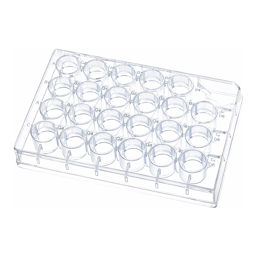 BRANDplate Cell Culture Plate & Insert 셀 컬쳐 플레이트와 인써트