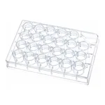 BRANDplate Cell Culture Plate & Insert 셀 컬쳐 플레이트와 인써트