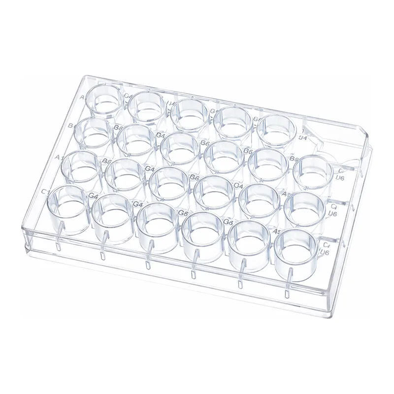 BRANDplate Cell Culture Plate & Insert 셀 컬쳐 플레이트와 인써트
