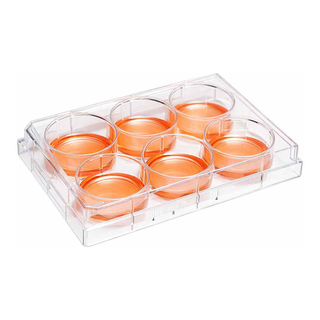Cell Culture Plate 셀 컬쳐 플레이트