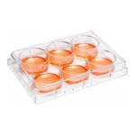 Cell Culture Plate 셀 컬쳐 플레이트
