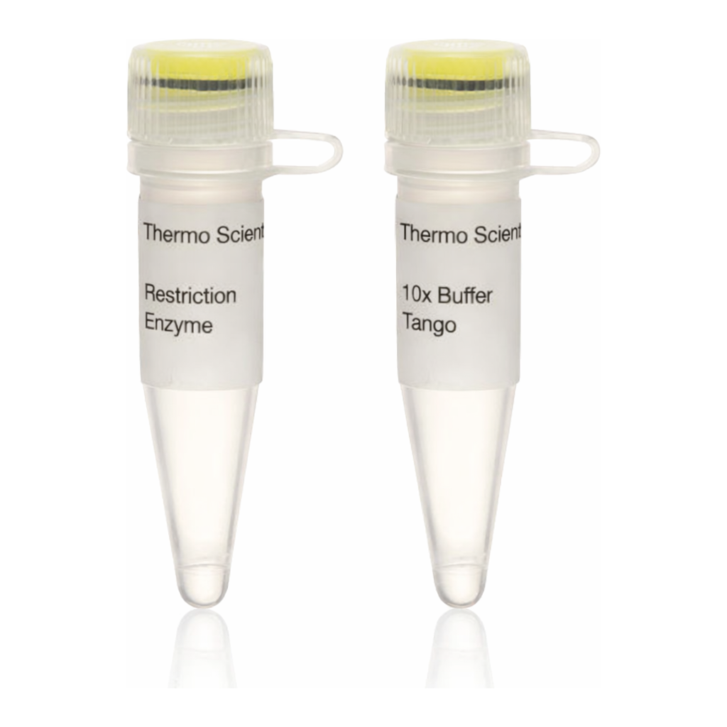 Thermo Fisher Scientific Alw44I (10 U/&mu;L)