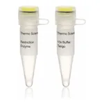 Thermo Fisher Scientific Alw44I (10 U/μL)
