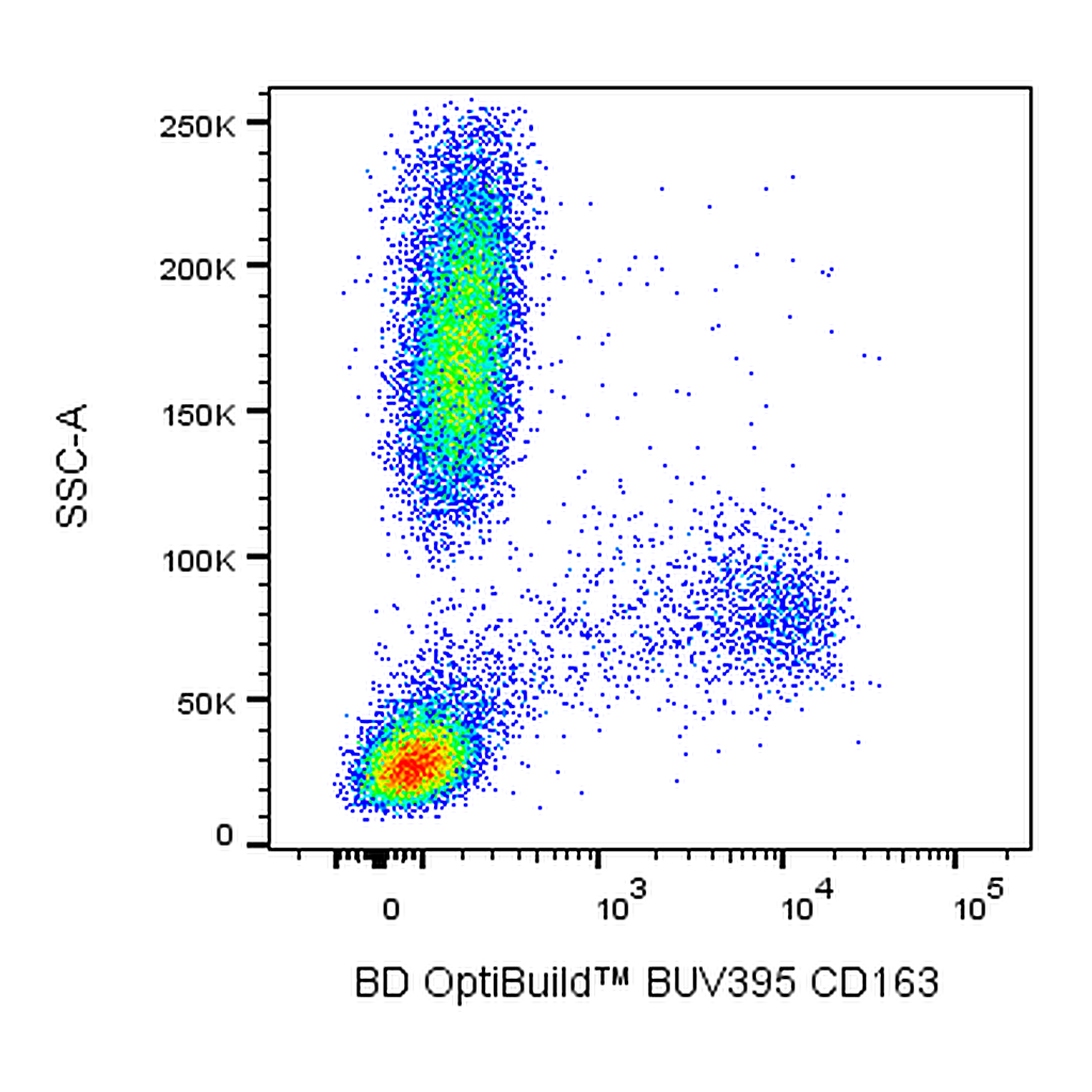 BD BUV395 Mouse Anti-Human CD163