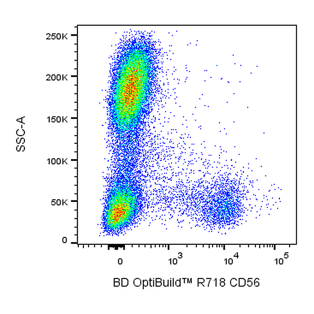 BD R718 Mouse Anti-Human CD56