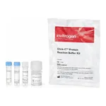 Thermo Fisher Scientific Click-iT Protein Reaction Buffer Kit