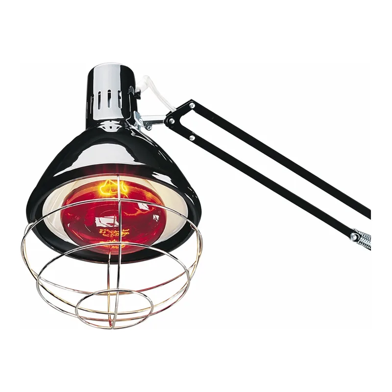 Thermo Fisher Scientific Replacement bulb for infrared heating lamp, 250 watts