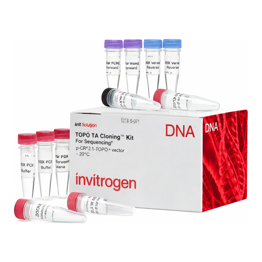 Thermo Fisher Scientific TOPO TA Cloning Kit for Sequencing, without competent cells