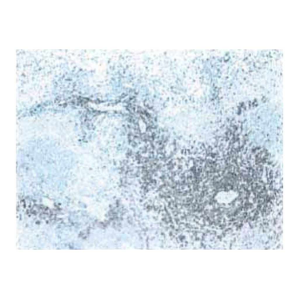 BD Purified Mouse Anti-Rat CD3