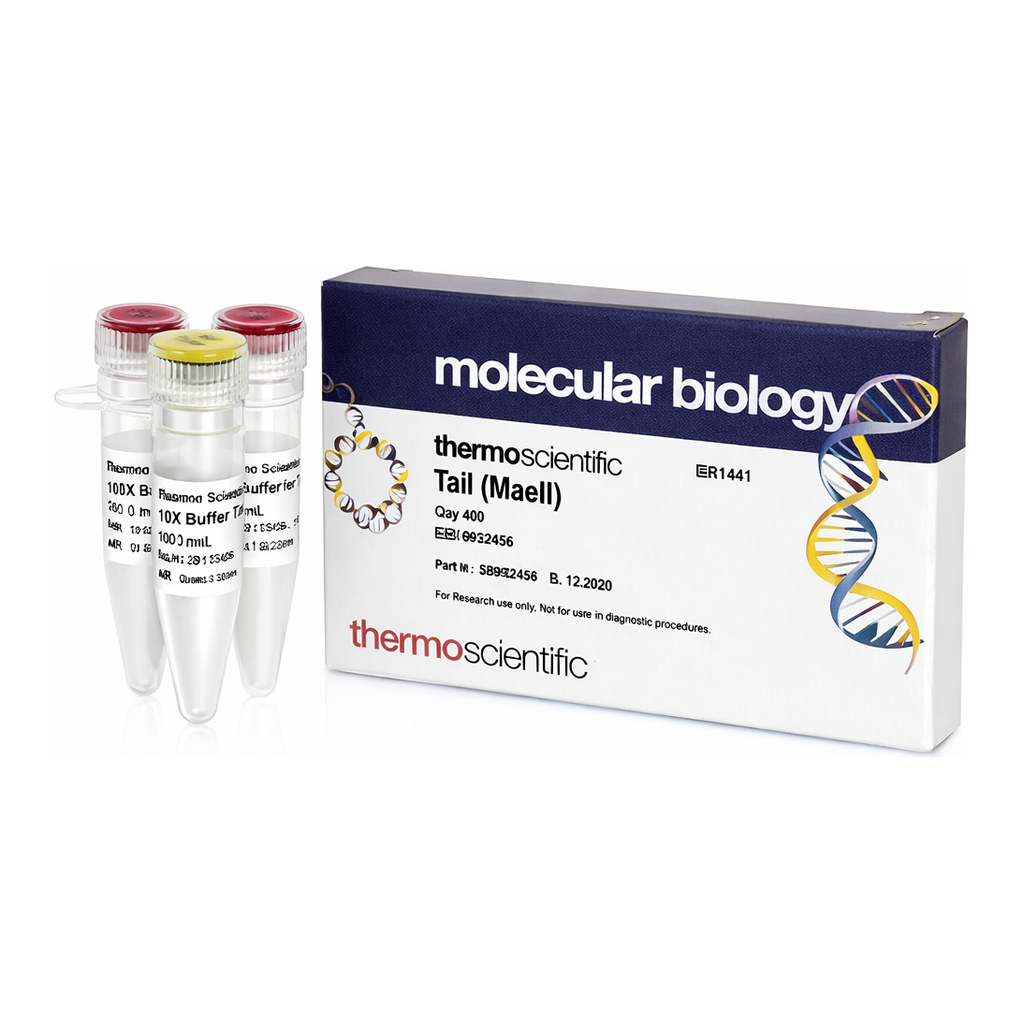 Thermo Fisher Scientific TaiI (MaeII) (10 U/&mu;L), 400 units