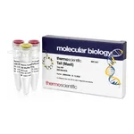 Thermo Fisher Scientific TaiI (MaeII) (10 U/μL), 400 units