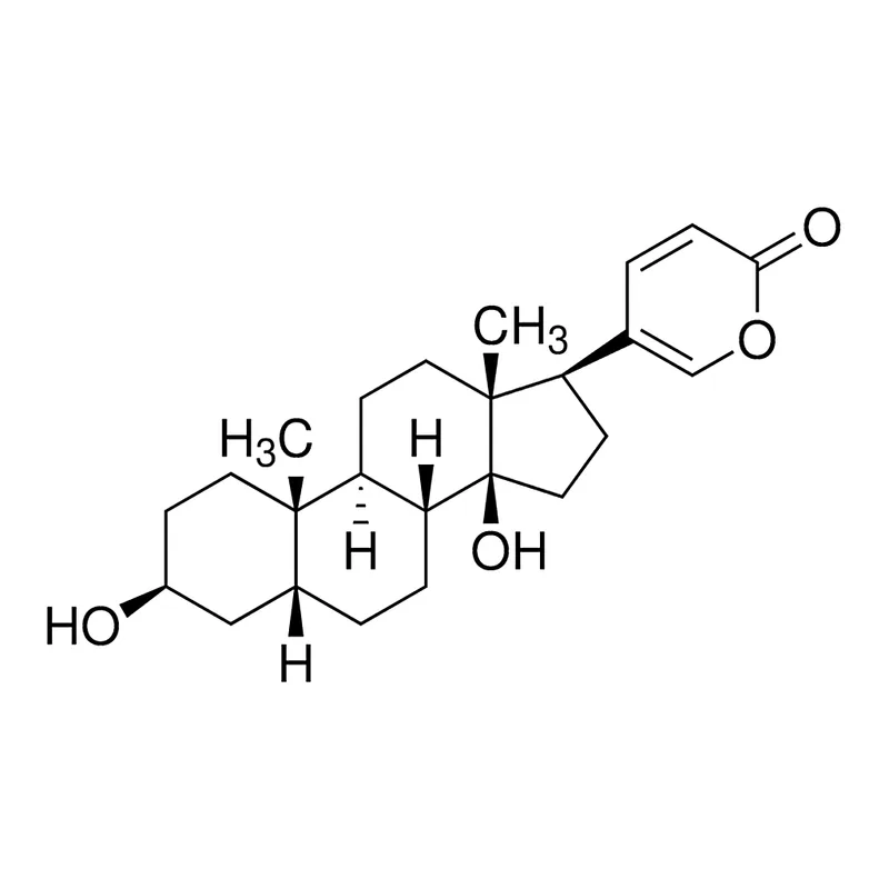 Merck Bufalin
