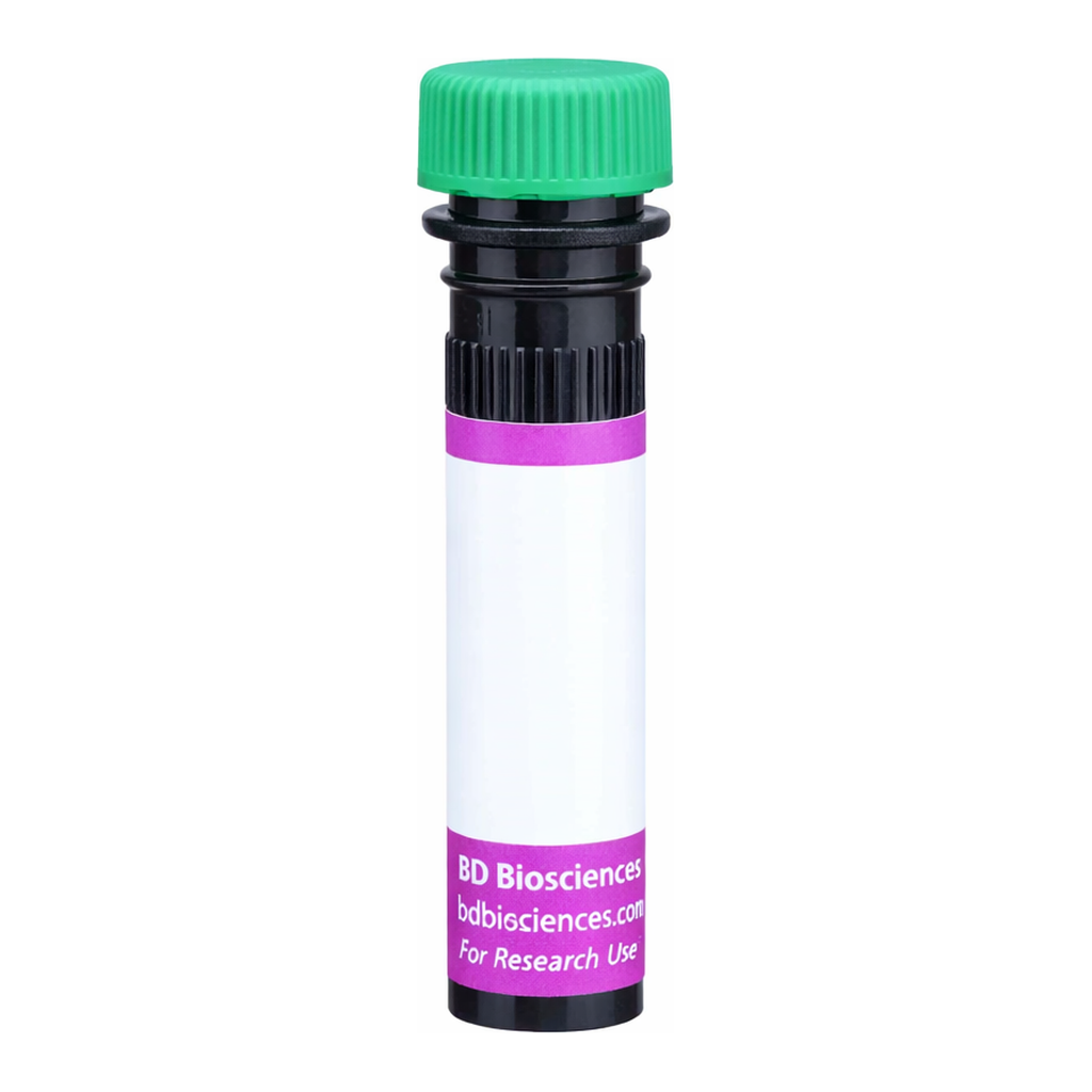 BD BV480 Rat Anti-Mouse Delta-Like Protein 1
