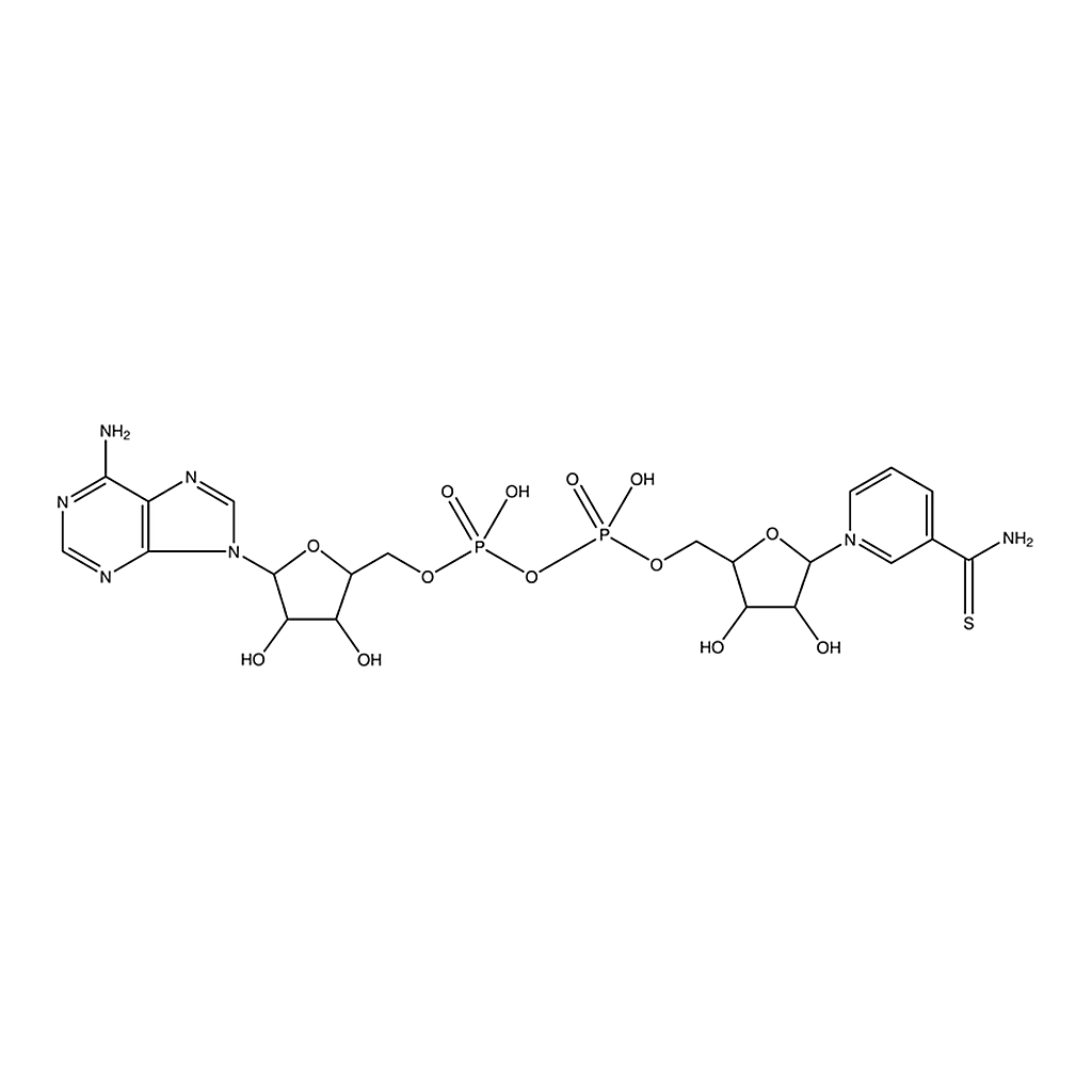 Merck Thionicotinamide adenine dinucleotide