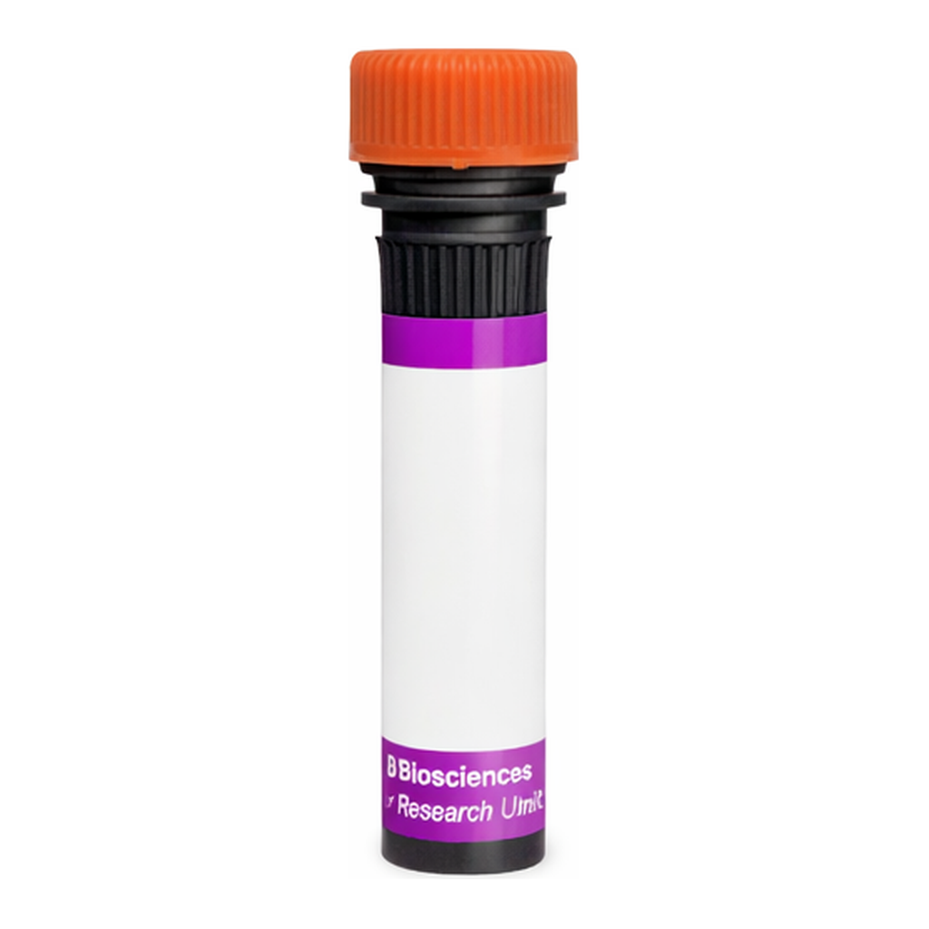 BD BV605 Mouse Anti-Human Delta-Like Protein 4