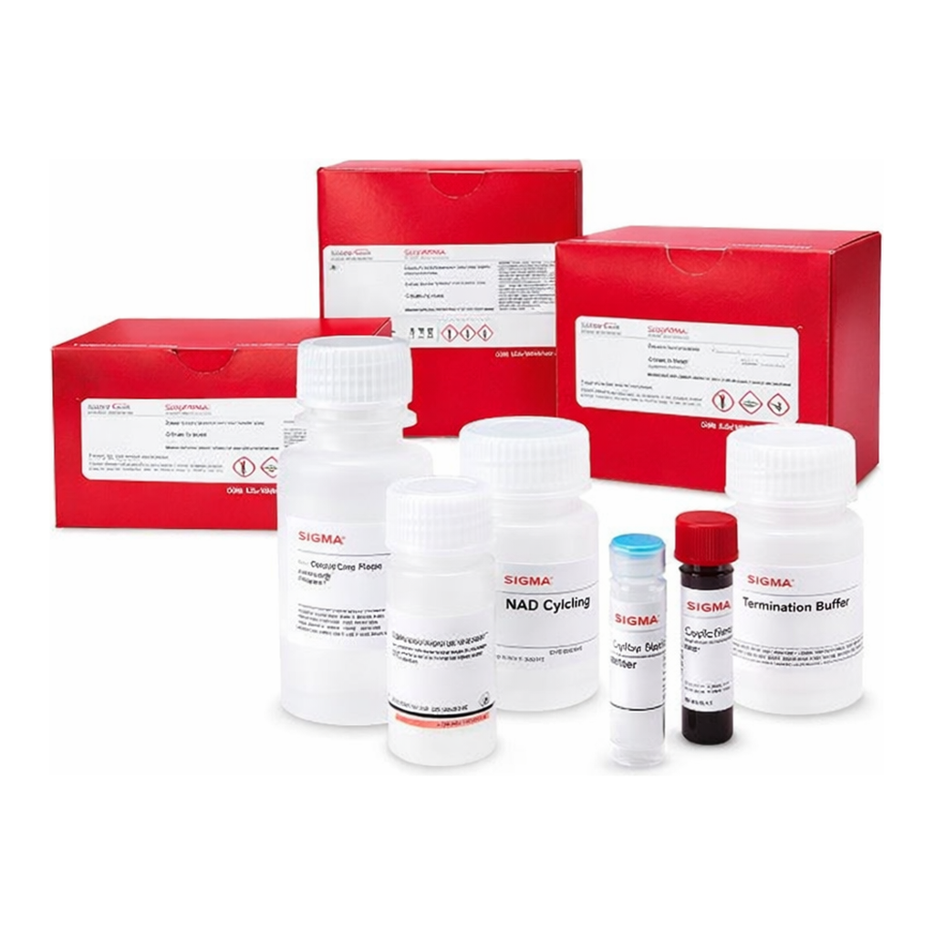 Merck AUTOPHAGY ASSAY KIT