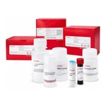 Merck AUTOPHAGY ASSAY KIT