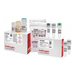 Thermo Fisher Scientific TrueTag Donor DNA Kit, BFP