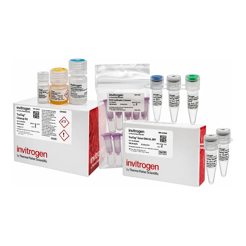 Thermo Fisher Scientific TrueTag Donor DNA Kit, BFP