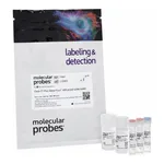 Thermo Fisher Scientific Click-iT Plus Alexa Fluor 488 Picolyl Azide Toolkit