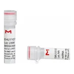 Merck MISSION(R) esiRNA