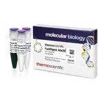 Thermo Fisher Scientific FastDigest Alw26I (IIs class)